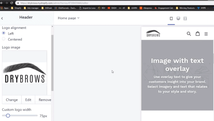 Basic steps to design your online store in just 5 minutes 5 design your online store