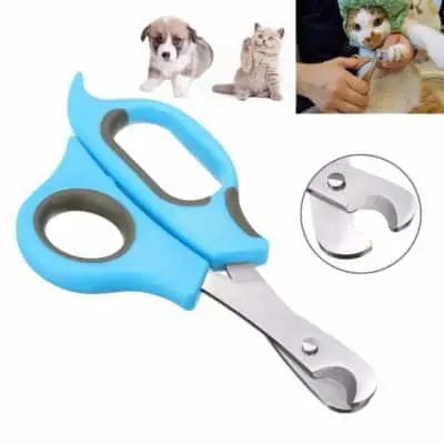 Best Pet products to dropship in 2021 12 Best Pet products to dropship in 2021 6