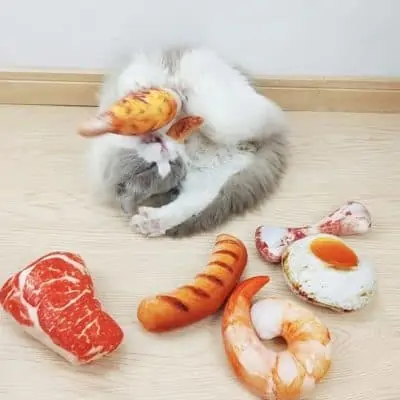 Best Pet products to dropship in 2021 16 Best Pet products to dropship in 2021 10