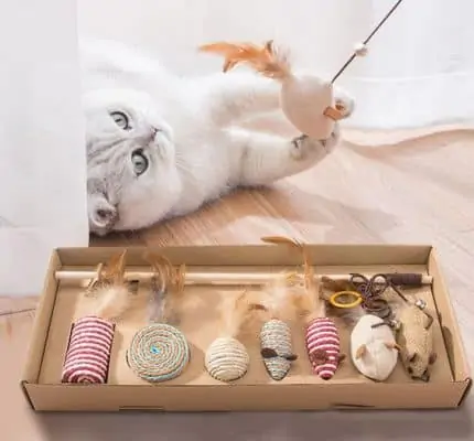 Best Pet products to dropship in 2021 15 Best Pet products to dropship in 2021 9