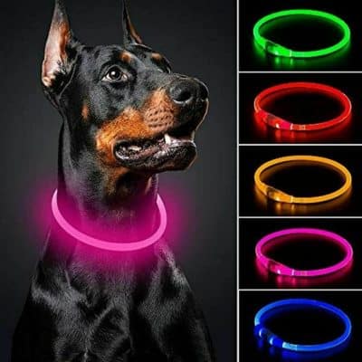 pet dropshipper