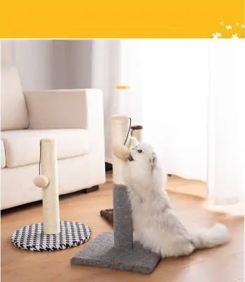 Best Pet products to dropship in 2021 20 Best Pet products to dropship in 2021 14