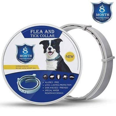 best pet products to dropship