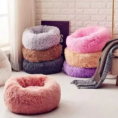 Best Pet products to dropship in 2021 7 Best Pet products to dropship in 2021 1