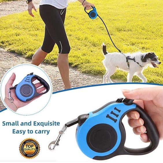 Best Pet products to dropship in 2021 Ebox Man Dropshipping