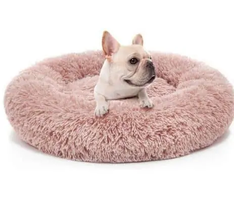 10 Trending Niches for Dropshipping in 2021 3 Trending Niches