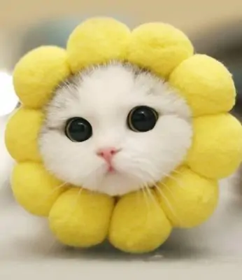 7 Powerful Tips To Create Appealing Facebook Ads 2 Powerful Tips To Create Appealing Facebook Ads