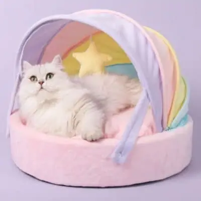 Trending Dropshipping Niches Ideas in 2022