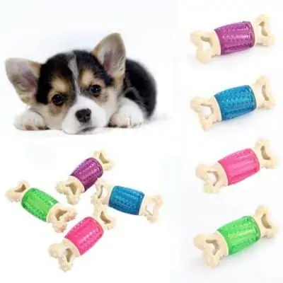 10 Best Pet Accessories to Dropship in 2022 2 Pet Accessories to Dropship in 2022