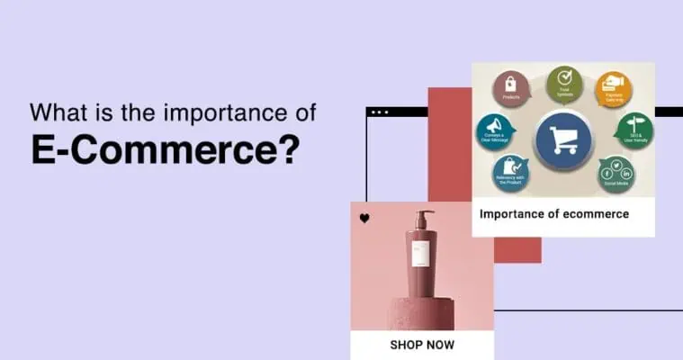 The importance of e-commerce in modern business in 2024 2 The importance of e-commerce in modern business 2