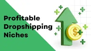 How to find profitable dropshipping niches for beginners 2025? 2